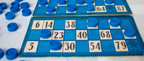 Hoeveel soorten online bingo zijn er in online casino's
