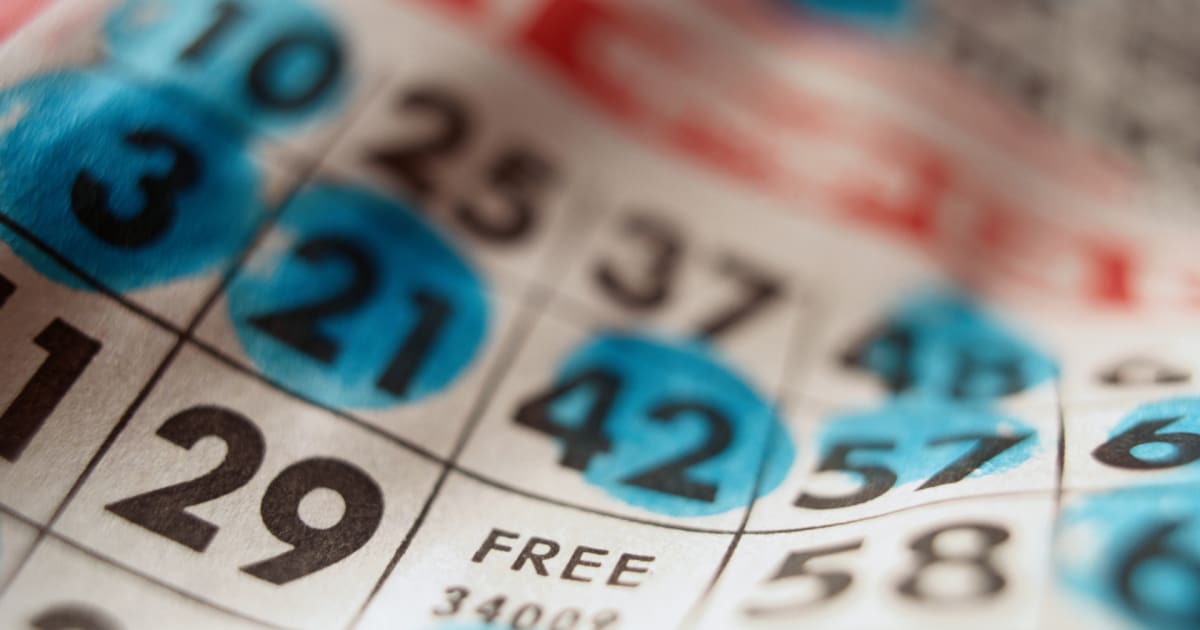 Alles over online bingokaarten en oproepen