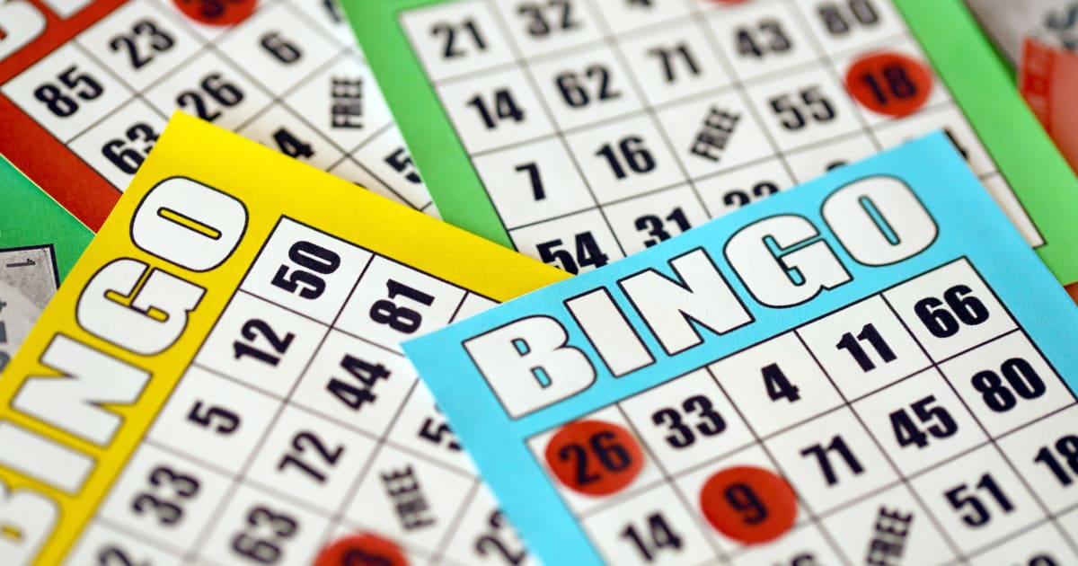 Leer hoe u online bingo speelt
